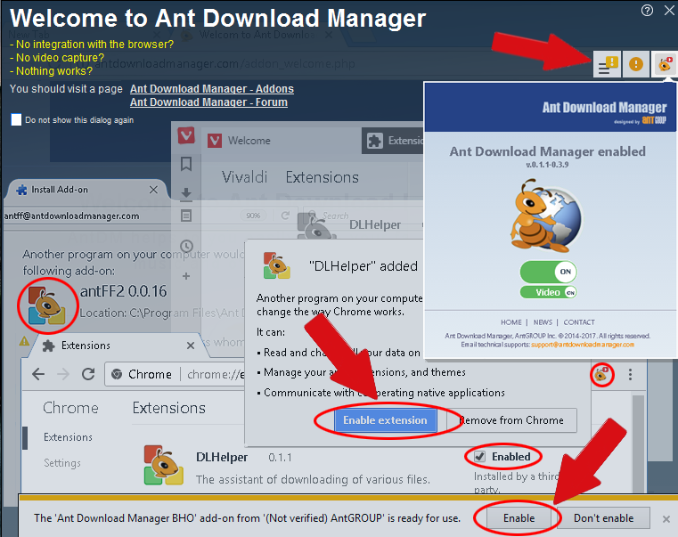 Ant Download Manager Pro 2.10.4.86303 download the new for ios